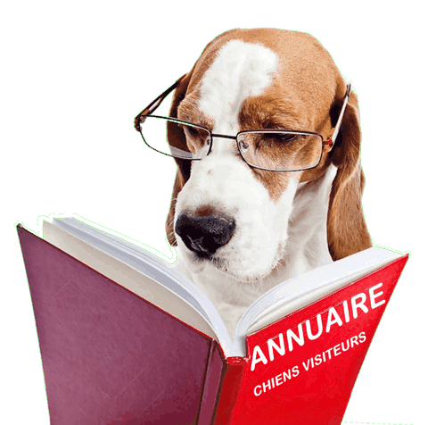Chien qui lit l'annuaire chien visiteur