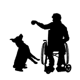 chien visiteur qui joue avec un handicapé en fauteuil