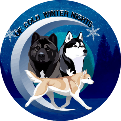 logo de l'Élevage Siberian husky of cold winter nights​