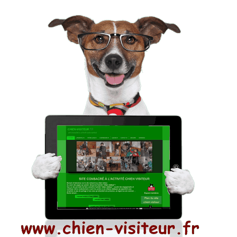 un chien-visiteur avec un ordinateur